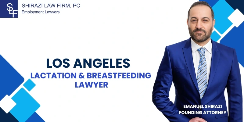 Dedicated Los Angeles Lactation &Amp; Breastfeeding Lawyer Dedicated Los Angeles Lactation &Amp; Breastfeeding Lawyer